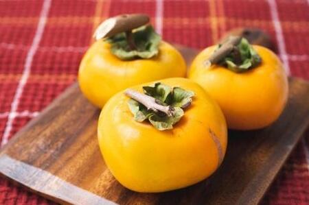 ݂邵`p˖a`T̓NbvtRt4.5`5kg@24`302026N10{`11{돇yART13z