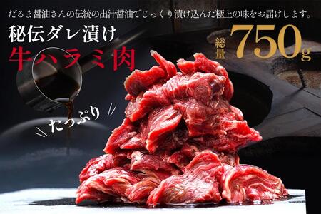 V܃_} ݖgpI쒬IWin^Ђn~ 750g yBBQEēpz