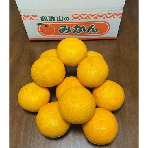 地元印南町産 樹熟 甘夏みかん 約7.5kg(20個前後) 大玉L〜2Lサイズ