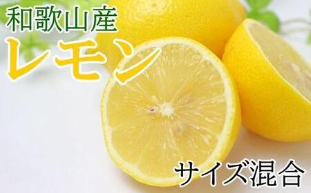 mYna̎RY5kgiTCYj2026N3{菇mTM129n