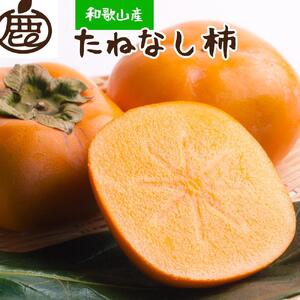 ＜10月より発送＞たねなし柿 約2.5kg［刀根早生・平核無柿（ひらたねなしかき）］［カキ・種無柿・種無し柿・種なし柿・無核柿］［IKE95］