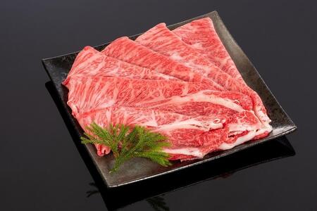 F싍 ĂEԂԌ[XXCX 500gyMT39z