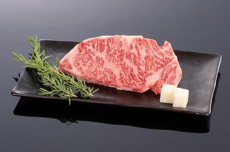 F싍 T[CXe[L 200g×1yMT43z