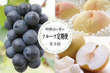 ֑S3 y7E8E9z a̎R̉Ẵt[c͂iEE˂ȂsI[ljyTM179z