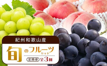果物 定期便[7・8・9月 全3回 定期便 ]紀州和歌山産旬のフルーツセット(桃・種なし巨峰・シャインマスカット)[UT124]