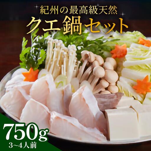 紀州の最高級天然クエ鍋セット 750g《3〜4人前》