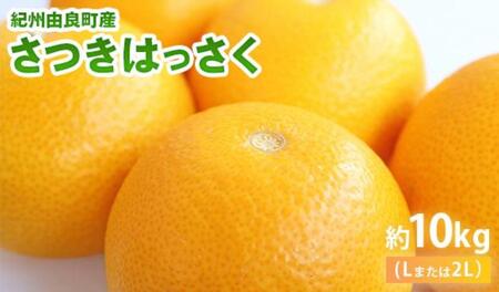 a̎RRǒY͂ 10kg Gi TCY܂ (k܂͂Qk) ꂩ͂ mSL41n