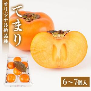 紀州てまり(和歌山県ブランド柿)6〜7個入 こだわり農家厳選 先行予約 [2026年9月末から10月末頃順次発送][KG27]