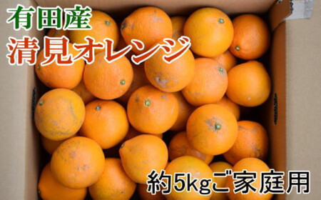 [濃厚]有田産清見オレンジ約5kg(M〜3Lサイズおまかせ、または混合)ご家庭用★2026年2月中旬頃より順次発送[TM211]