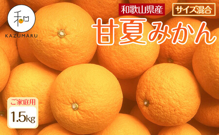 家庭用 森本農園の手選別 甘夏みかん 約1.5kg 和歌山県産 サイズ混合 [北海道・沖縄・離島配送不可][2026年4月上旬から順次発送][RN68]