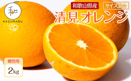 贈答用 森本農園の手選別 厳選清見オレンジ 約2kg 和歌山県産 サイズ混合 [北海道・沖縄・離島配送不可][2026年2月上旬から5月中旬頃順次発送予定][RN88]