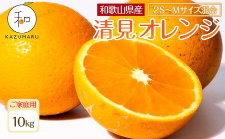家庭用 森本農園の手選別 小粒清見オレンジ 約10kg 和歌山県産 2S〜Mサイズ混合 [北海道・沖縄・離島配送不可][2026年2月上旬から5月中旬頃順次発送予定][RN95]