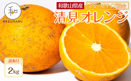 訳あり 森本農園の手選別 小粒清見オレンジ 約2kg 和歌山県産 2S〜Mサイズ混合 [北海道・沖縄・離島配送不可][2026年2月上旬から5月中旬頃順次発送予定][RN96]