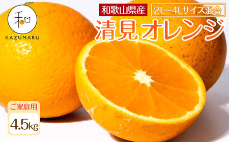家庭用 森本農園の手選別 大玉清見オレンジ 約4.5kg 和歌山県産 2L~4Lサイズ混合 [北海道・沖縄・離島配送不可][2026年2月上旬から5月中旬頃順次発送予定][RN100]