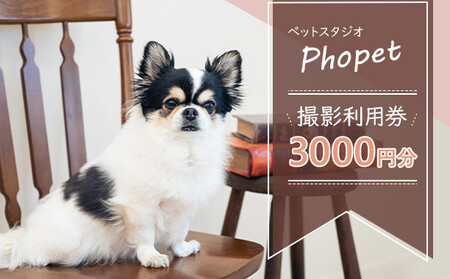 ybgX^WIPhopet Bep3000~