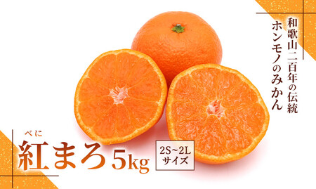 みかん『紅まろ(べにまろ)』2S〜2Lサイズ 5kg [糖度11度〜12度未満]