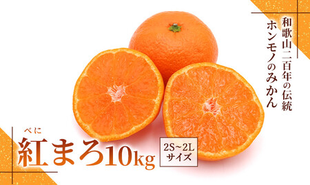 ݂wg܂iׂɂ܂jx2S`2LTCY 10kg mx11x?12xn