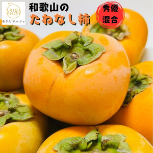 [先行受付・2026年10月〜発送]和歌山のたねなし柿 約2kg [MS131]