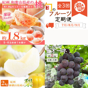 ［全3回 定期便］ 紀州和歌山産旬のフルーツセット（桃・梨・ピオーネ） ［UT142］