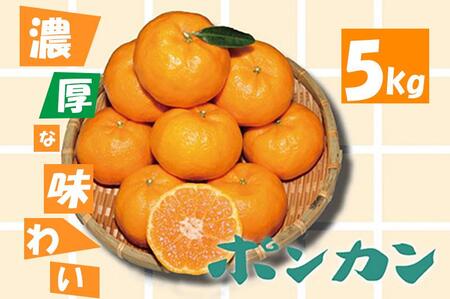 �Z���ȊÂ��I�|���J��5kg�@2026�N1�����{�ȍ~���������@�_������