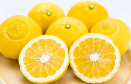 贈答用 森本農園の手選別 はるか 約2kg 和歌山県産 L〜2Lサイズ[北海道・沖縄・離島配送不可][RN153]