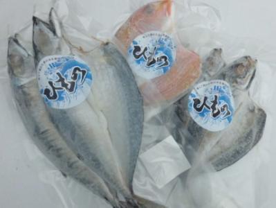 紀州地魚干物セット(3〜5パック)