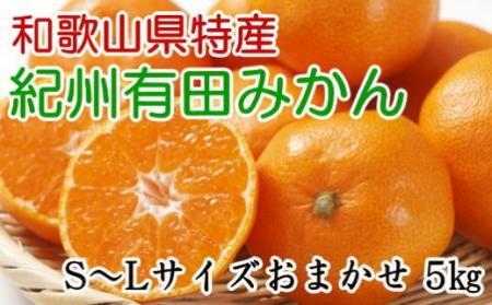 [厳選]和歌山有田みかん約5kg(S〜Lサイズおまかせ)★2026年11月中旬頃より順次発送