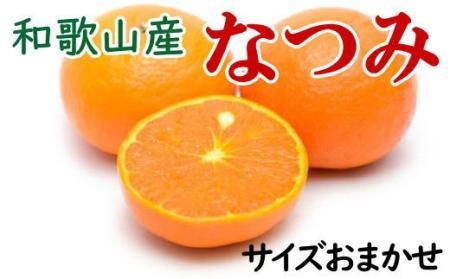 [希少柑橘]和歌山県産なつみ約5kg(S〜2Lサイズおまかせ)★2025年4月頃より順次発送[TM147]