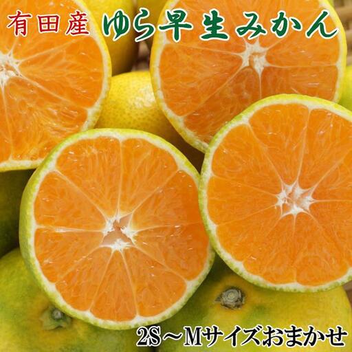 ［極早生みかんの逸品］有田産ゆら早生みかん約5kg★2026年10月中旬頃より順次発送［TM58］