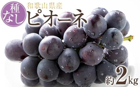 yVNEYza̎R炬Y˂ȂsI[l2kg2025N8{菇yTM164z