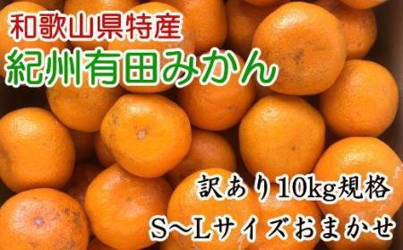 [訳あり]和歌山有田みかん約10kg(S～Lサイズいずれかお届け）★2026年11月中旬頃より順次発送［TM82］