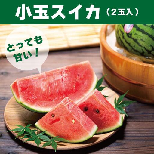 とっても甘い！食べきりサイズの小玉スイカ　ひとりじめ　2玉入［HC2］