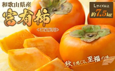 ◆先行予約◆和歌山県産 富有柿[ご家庭用]約7.5kg[2024年11月上旬以降発送][九度山町産][MG2]