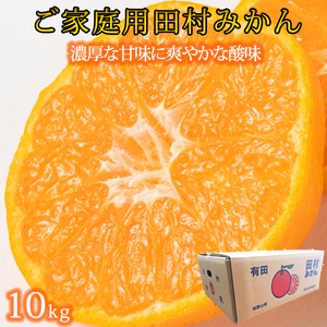 �m���ƒ�p�󂠂�n�c���݂���@10kg�m2026�N11�����{�ȍ~�����n�m��s�\��n�mUT16�n