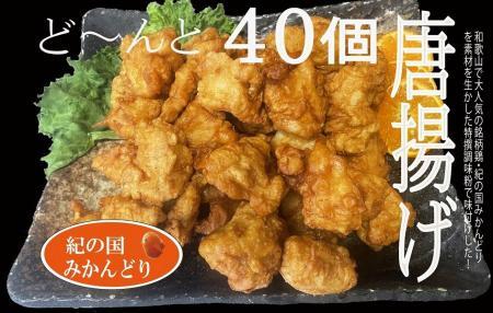 紀の国みかんどり 特撰唐揚げ