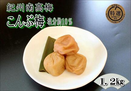 つぶれ梅 訳あり [家庭用]紀州南高梅 こんぶ梅 1.2kg