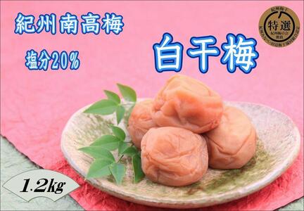 つぶれ梅 訳あり [家庭用]紀州南高梅 白干梅 1.2kg