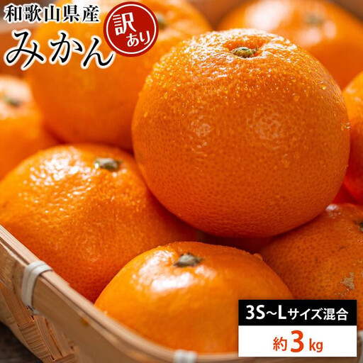 和歌山県産 糖度 12.5度以上 訳あり みかん 3kg 3S 〜 Lサイズ混合[MG56]