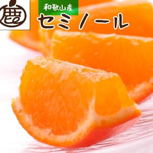 [先行予約]厳選 セミノールオレンジ2.5kg+250g(傷み補償分)[春みかん][有田産][光センサー食べ頃出荷]