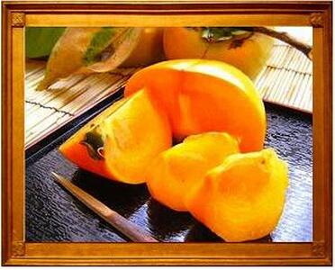 ̂ꂽă^lȂ`gLTCYh7.5kg2025N10{`10{\聄yART17z