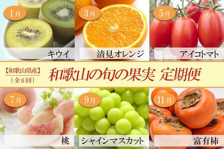 a̎Ȑ{̉ʎ ɂ͂S6ցyTM49z