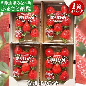 ms\ni܂Ђ߁jM[TCY@1 tagfam001A