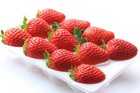 ms\ni܂Ђ߁j肩[  m2026N1{3{ɂ͂ntagfam003A