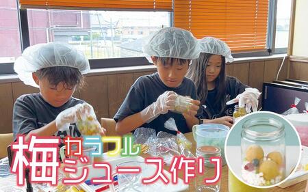カフェドマンマ食事券1500円分&カラフル梅ジュースづくり体験チケット A-096a