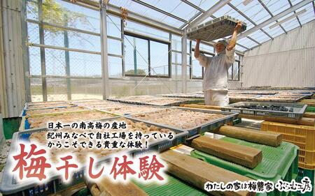 カフェドマンマ食事券1500円分&梅干し作業体験チケット A-002b