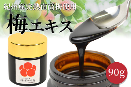 [梅ボーイズ]すっっぱい梅エキス 90g umehkr026