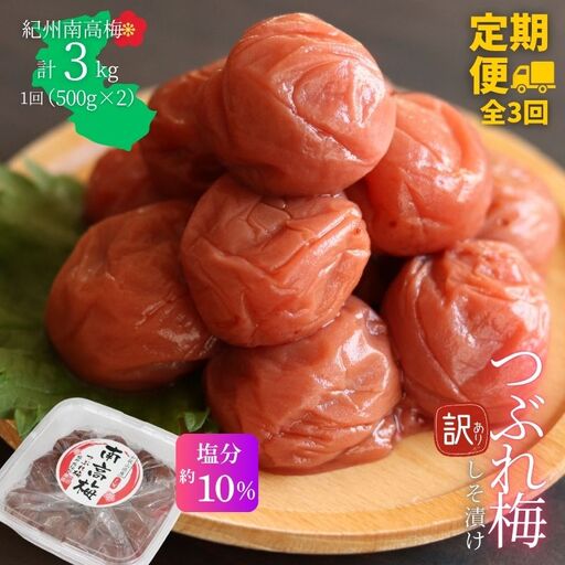 [定期便全3回][塩分約10%]和歌山県紀州南高梅つぶれ しそ漬け 訳あり 500g×2 [agrjpn-tkb007]