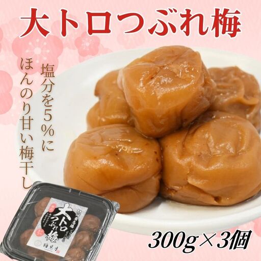 紀州南高梅 大トロつぶれ梅 300g×3個/塩分5% [mryms003]