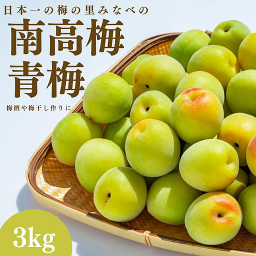 青梅(南高梅)(受付期間5/8〜6/1)(2026年6月9日発送予定)約3kg mnbcho004A[mnbcho004A]