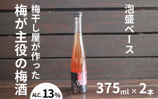壱〜ICHI〜 泡盛梅酒 375ml×2本/アルコール分:13度 maruni032[maruni032]